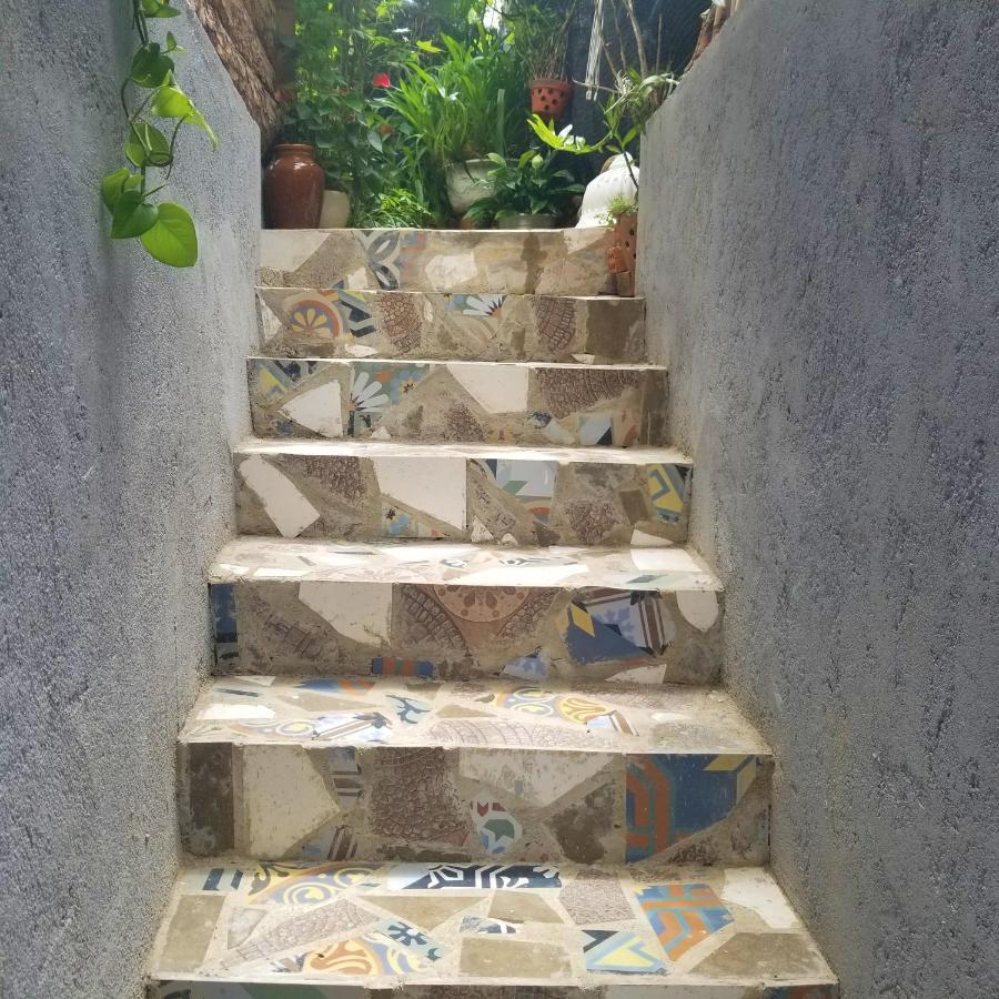 ダラットRibe'S Houseアパートメント エクステリア 写真