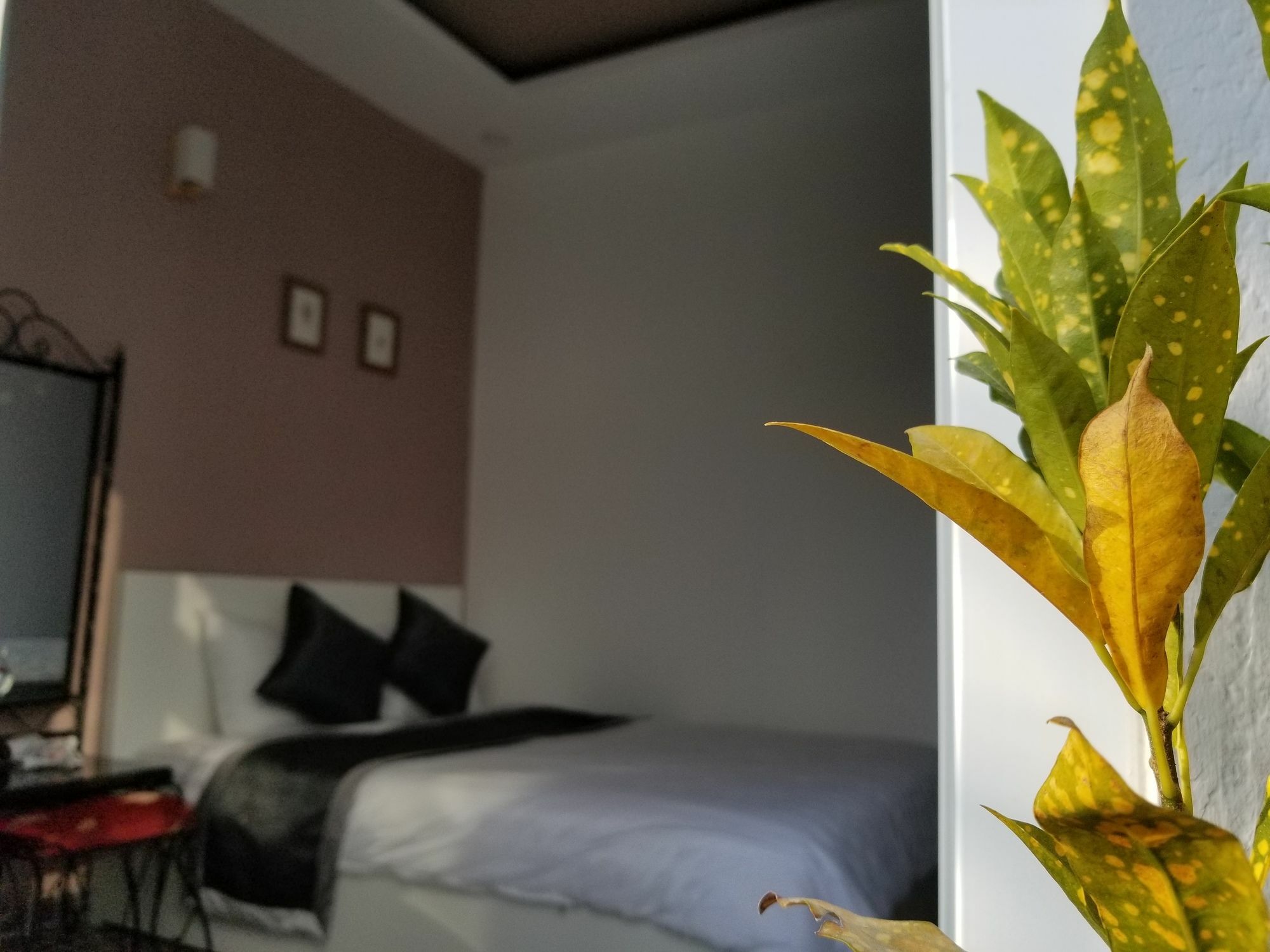 ダラットRibe'S Houseアパートメント エクステリア 写真